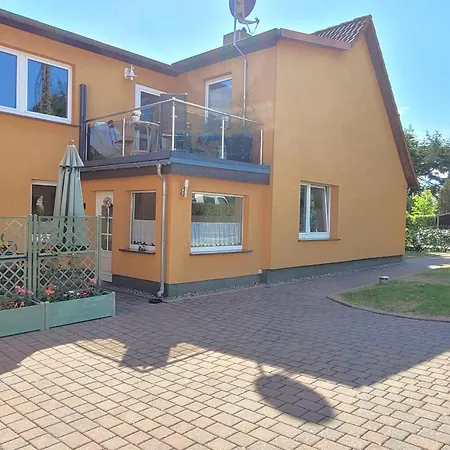 Muschelbank * Stralsund