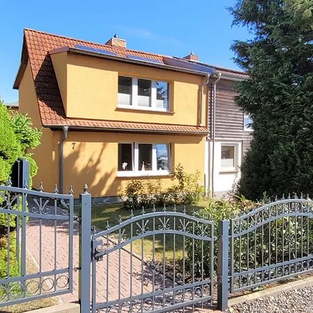 Muschelbank * Stralsund